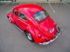 Thumbnail Photo 9 for 1964 Volkswagen Beetle
